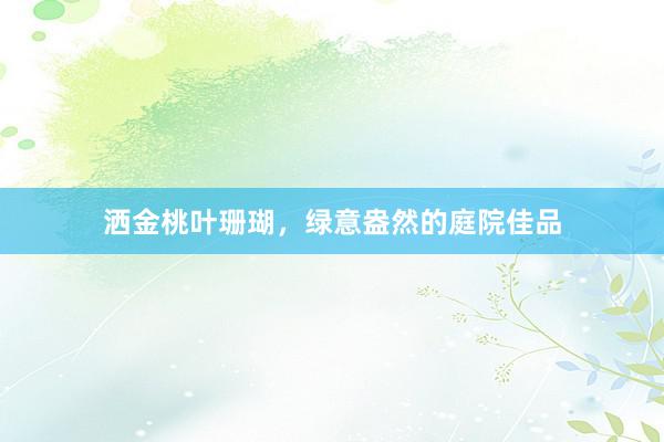 洒金桃叶珊瑚，绿意盎然的庭院佳品
