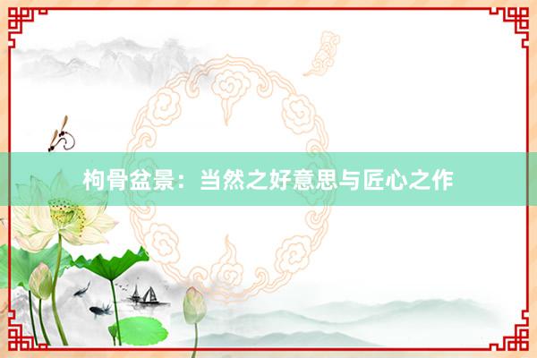 枸骨盆景:当然之好意思与匠心之作