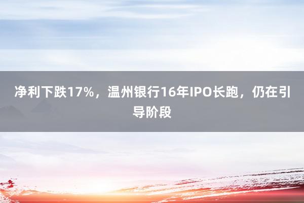 净利下跌17%，温州银行16年IPO长跑，仍在引导阶段