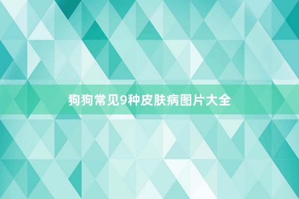 狗狗常见9种皮肤病图片大全