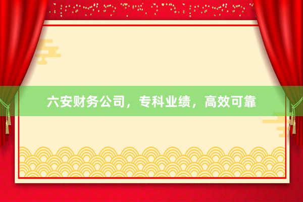 六安财务公司，专科业绩，高效可靠